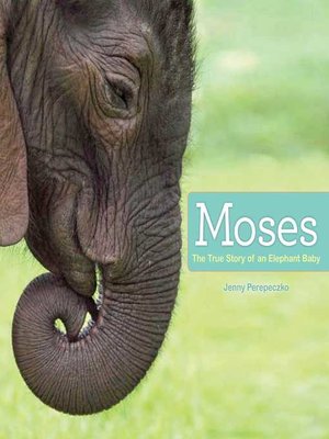 cover image of Moses